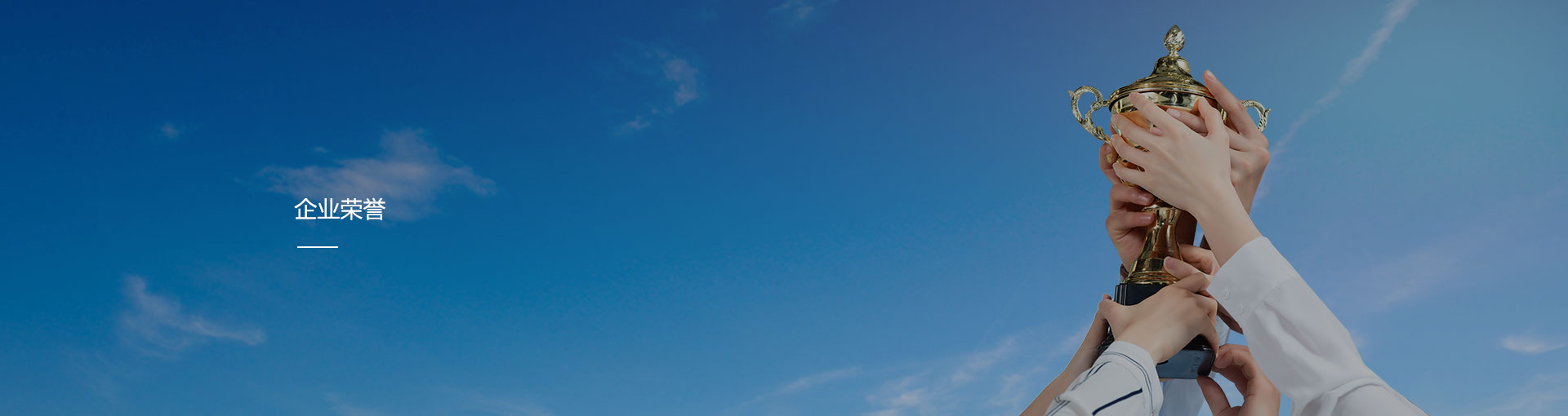 企業(yè)榮譽(yù)